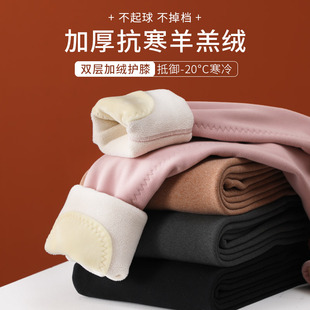 棉毛裤 德绒保暖裤 打底裤 内穿高腰收腹大码 女加绒加厚发热秋裤