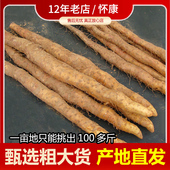 温县铁棍山药垆土怀山药新鲜正宗粗长河南焦作铁杆铁棒淮山药武陟