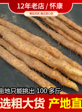 温县铁棍山药垆土怀山药新鲜正宗粗长河南焦作铁杆铁棒淮山药武陟