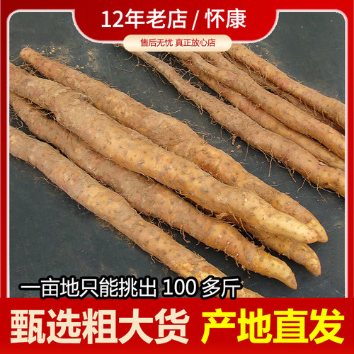 温县铁棍山药新鲜山约河南焦作