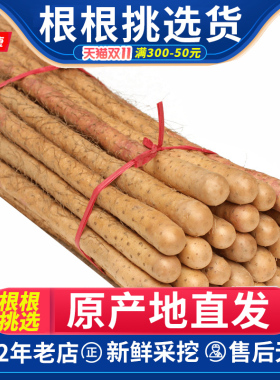 河南焦作温县正宗沙土铁棍山药长铁棒脆铁杆淮山粗大5斤新鲜蔬菜