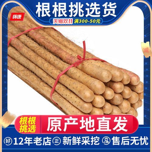 河南焦作温县正宗沙土铁棍山药