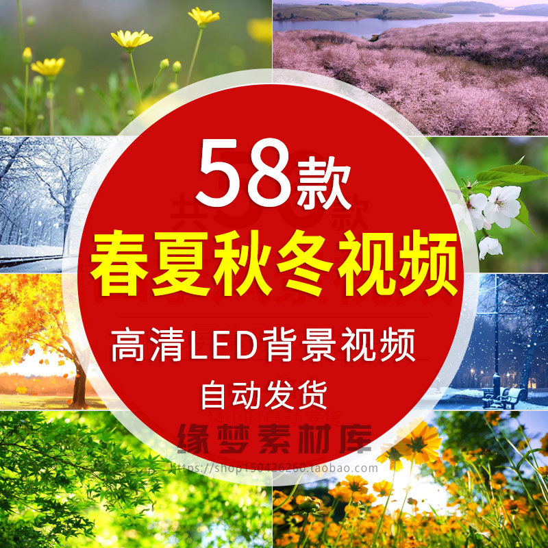 秋天冬天夏天春天春夏秋冬四季变化雪景花草背景动态led视频素材