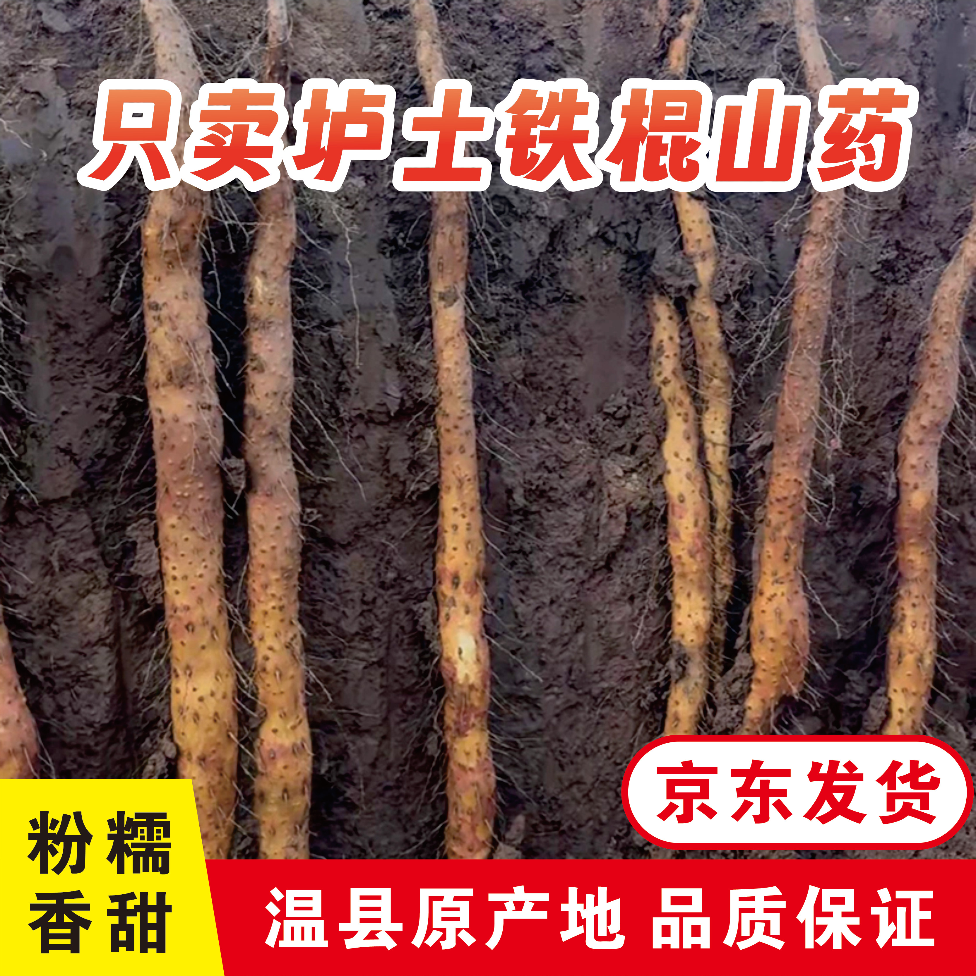 温县铁棍山药新鲜软糯粉面中秋礼