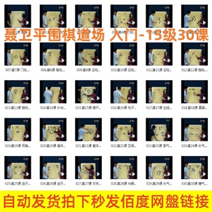 卫平围棋聂道场从入门到15级30课视频名师讲解课教棋过程精解全集