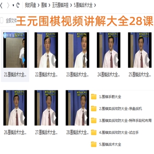 王元围棋讲座大全28课视频 职业棋手讲解战术实战攻防试应手序盘