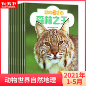 5月现货 单本 套装 动物世界自然地理适用于1 12月 动物奇迹杂志2021年1 6年级学生科学科普期刊非2022年订阅预售