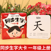 同步生字卡片幼小衔接识字速成启蒙一年级上下册无图双面幼儿认字大卡人教版 6岁成语拼音部首造句注音训练 配套课本教材拼音卡3