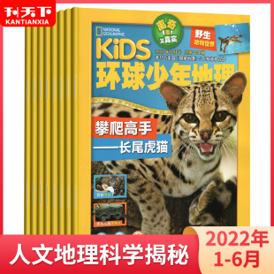 12月儿童科普期刊少儿阅读人文地理科学揭秘兴趣阅读培养期刊杂志打包 KIDS环球少年地理野生动物杂志2022年7 半年收藏