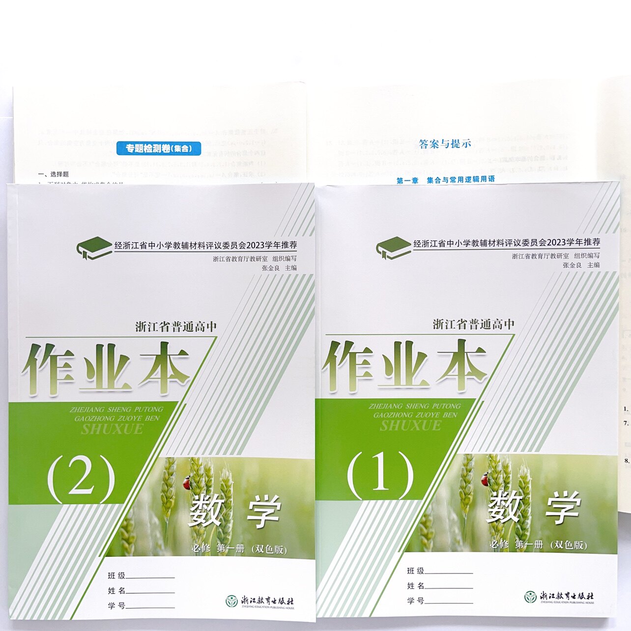 2024浙江省普通高中作业本数学必修第一册 必修1课堂作业本新高一