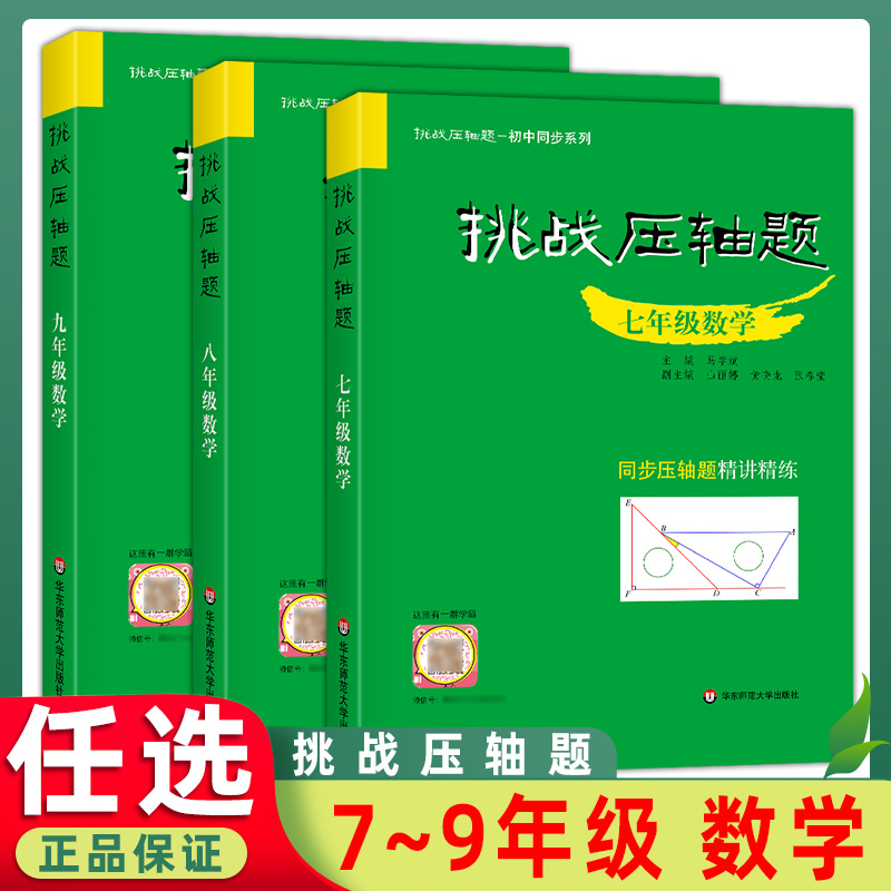 2022挑战压轴题华东师大初中全国通用