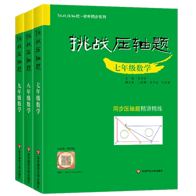 2024挑战压轴题华东师大初中