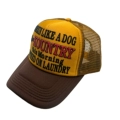 Yellow and Brown Like a Dog