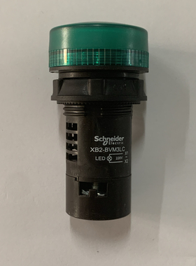 施耐德指示灯XB2-BVB3LC.   220V绿色