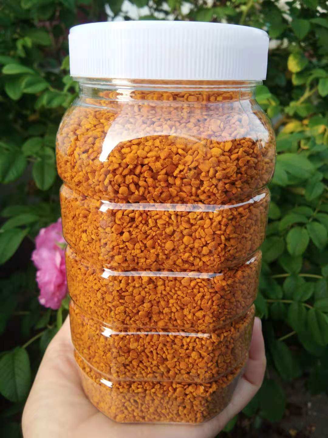纯正山茶花粉养颜天然颗粒饱满活性未破壁茶花粉食用峰花粉500克