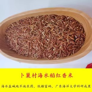 湛江海红香米遂溪建新卜巢村海水稻耐盐含硒芋香糙米杂粮5斤包邮