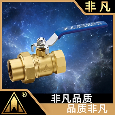 遇见专业阀门,领略非凡品质