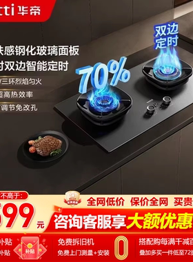 [小飞碟Max308G]华帝燃气灶i10308G定时天然气煤气灶家用双灶台