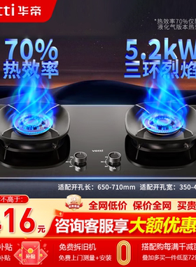 华帝燃气灶i10309煤气灶5.2kw家用灶天然气炉灶猛火灶台嵌两用灶