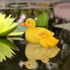 仿真动物浮水小鸭子一对庭院花园别墅幼儿L园水池鱼缸装 饰漂浮摆