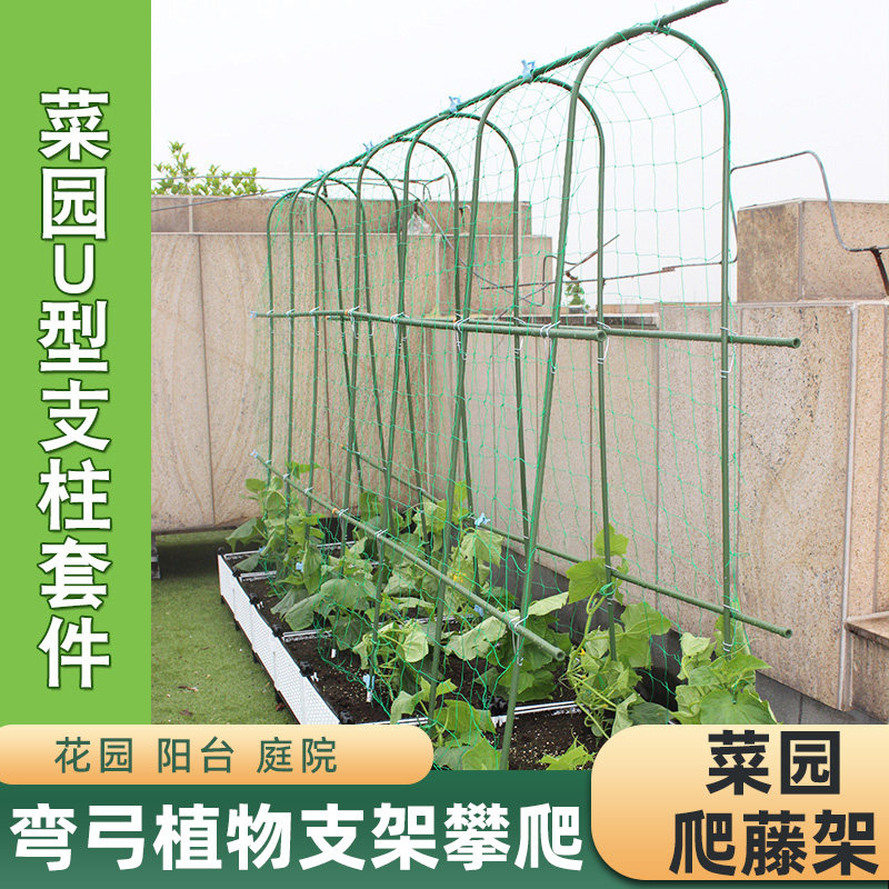 黄瓜架爬藤架园艺葡萄架拱形爬藤植物支架攀爬架豆角丝瓜蔬菜种植,鲜花速递/花卉仿真/绿植园艺,其它园艺用品,淘宝优惠券,粉丝福利购,淘宝优惠卷