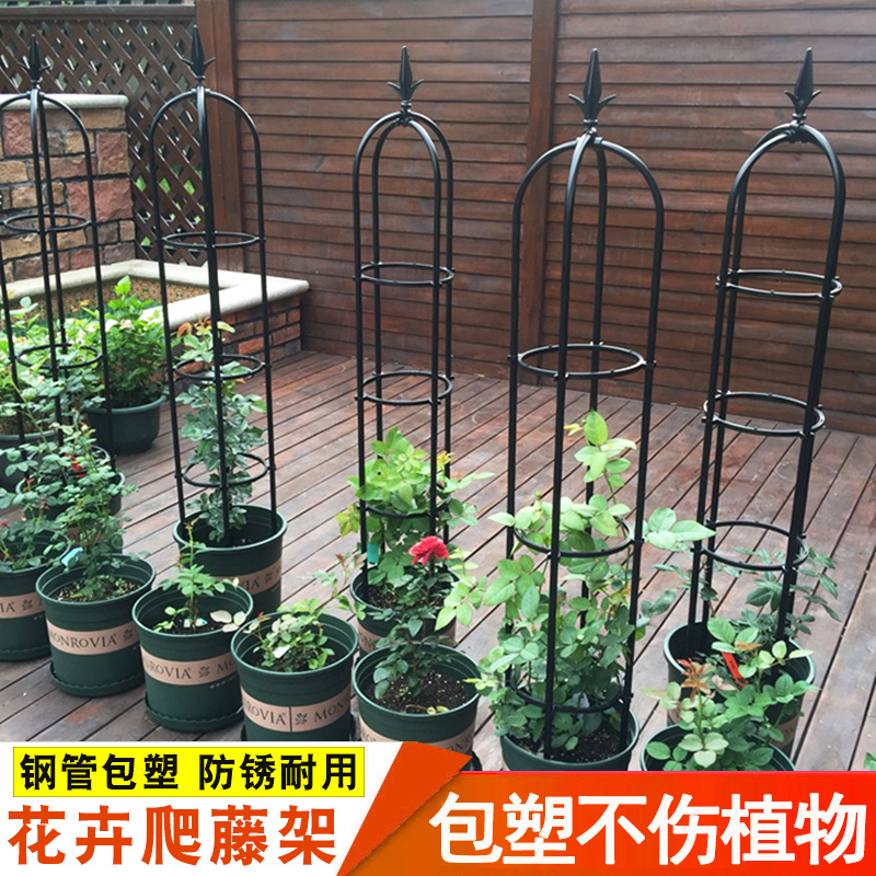 铁线莲攀爬架月季花卉爬藤架花架