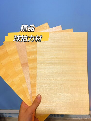 进口阿尤斯寇头木皮DIY乒乓球拍