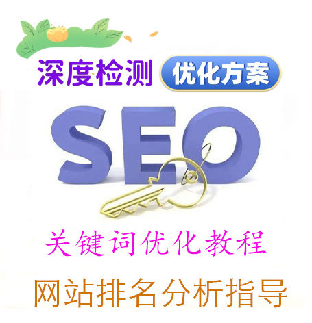 网站诊断指导 SEO优化 百度谷歌关键词教程外链友情链接排名方案