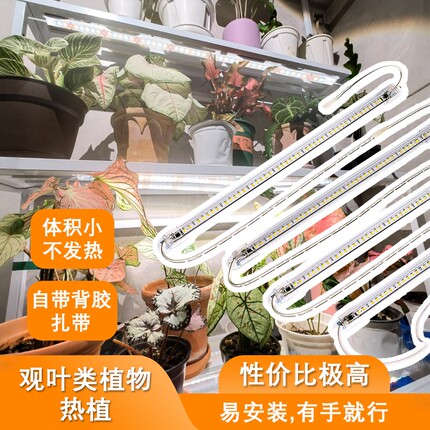 220V全光谱植物生长补光灯条室内花卉仿太阳光育苗蔬菜种植多肉