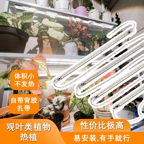 全光谱LED植物补光灯防徒长增色