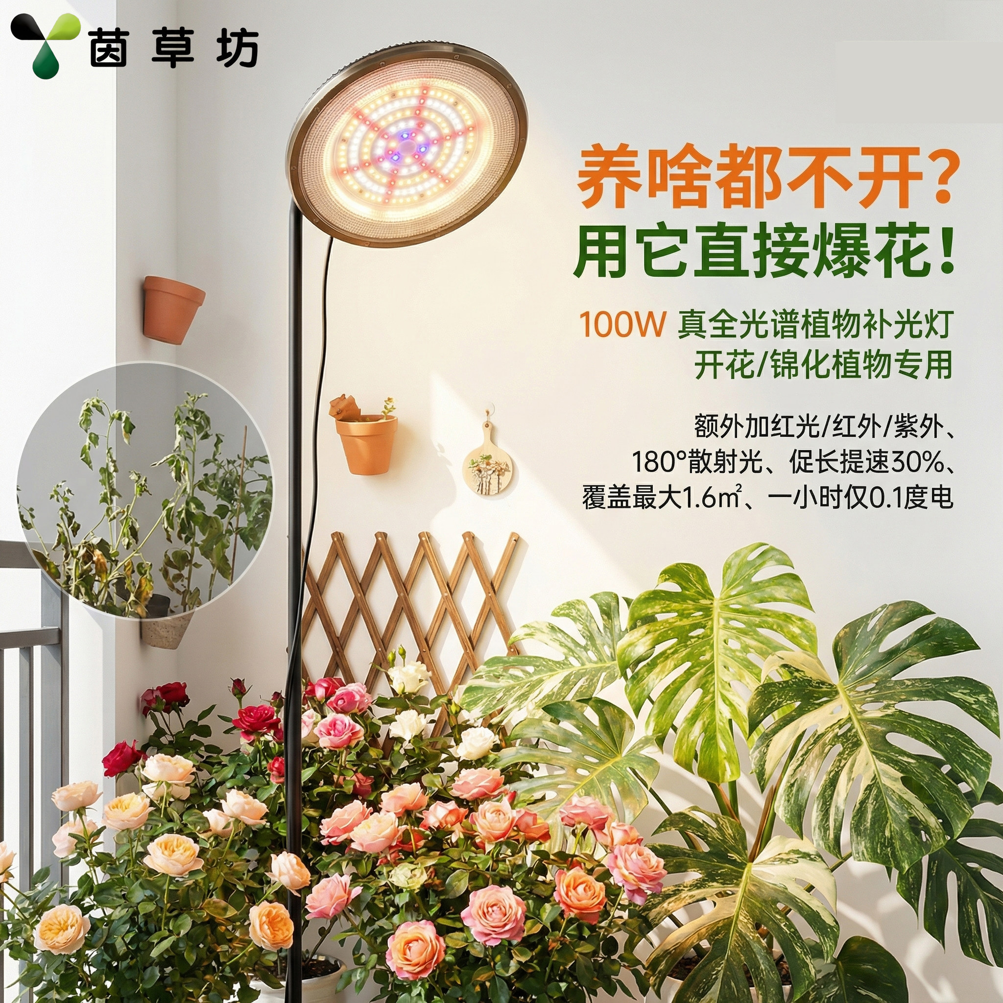 100瓦全光谱植物补光灯仿太阳光阳台三角梅月季养花室内无频闪