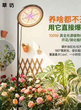 LED植物生长灯100W全光谱室内补光灯阳台绿植月季三角梅观叶植物