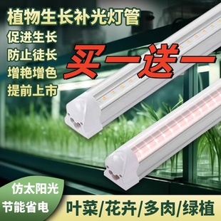 T8T20组培灯植物生长补光灯全光谱蔬菜育苗led灯多肉上色防徒长