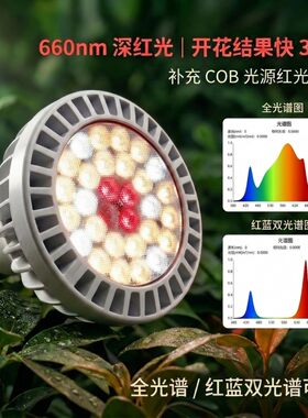 加红光红外专攻开花结果