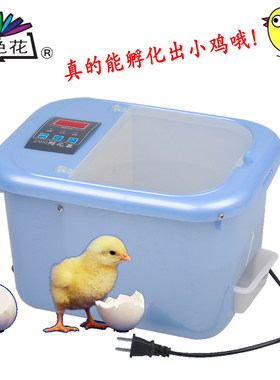 孵化器小鸡小鸟小鸭动物生物科学实验七色花幼教儿童玩具幼儿早教