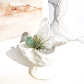 白水晶簇 原石 天然摆件晶花水晶球消磁石消磁碗工位家居盆栽盆景