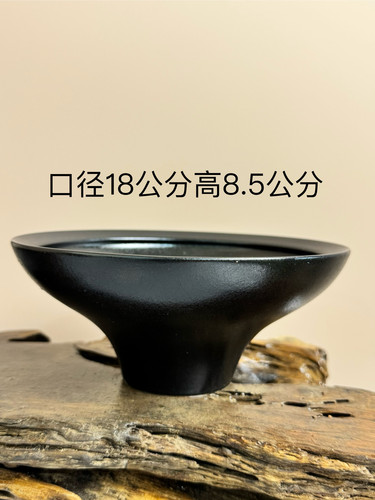 陶瓷黑色水培蕨类专用盆