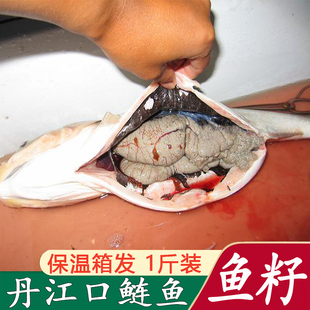 湖北丹江口鲢鱼籽酱鱼白鱼泡鱼杂速冻淡水鱼子鱼卵鱼蛋新鲜包邮