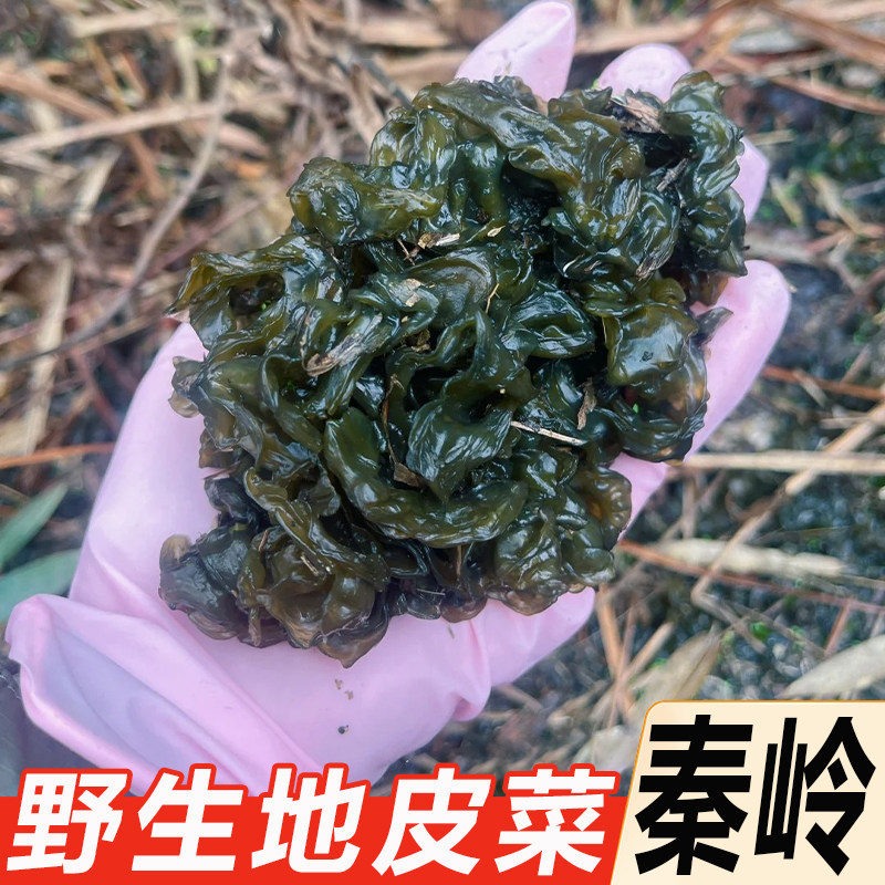 湖北武当山野生非免洗干地皮菜地软地角皮干货地衣木耳野菜雷公菌