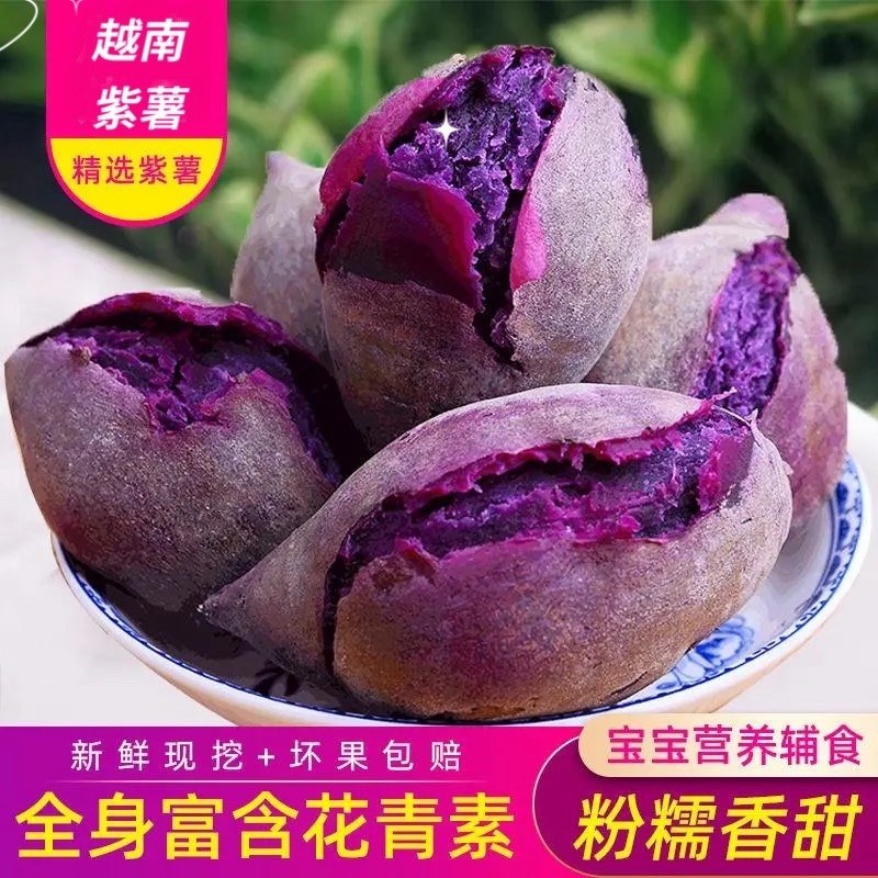 正宗越南紫薯新鲜现挖小个圆番薯珍珠果无丝5斤整箱包邮地瓜孕妇