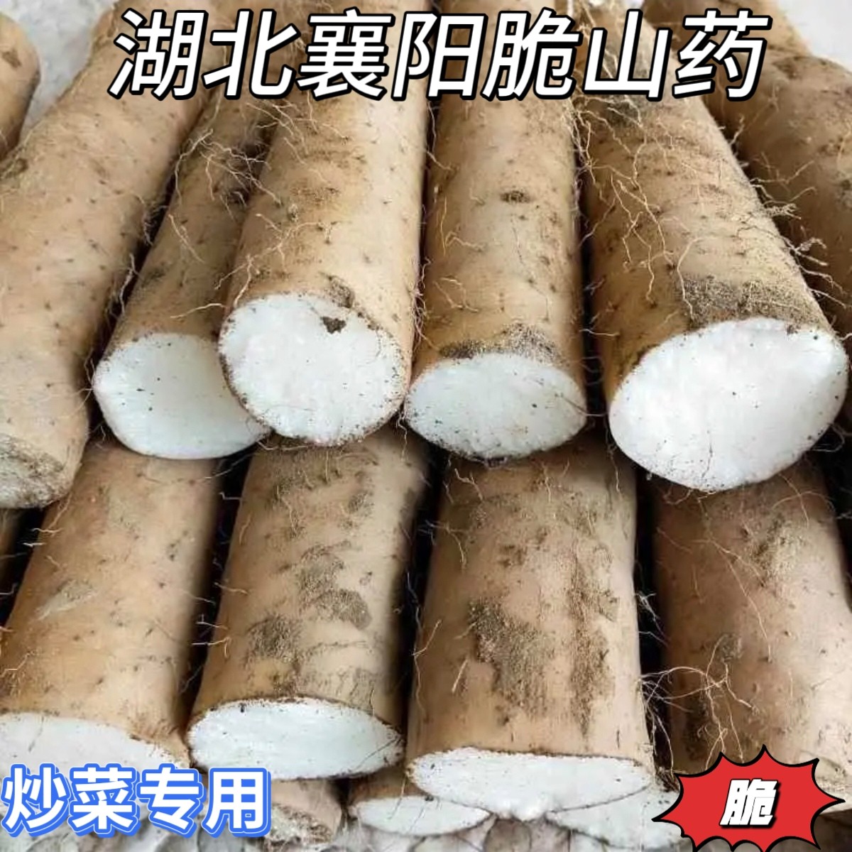 脆山药新鲜现挖粗大脆淮山药湖北襄阳农家炒菜用脆山药