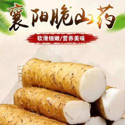襄阳农家脆山药正宗农家新鲜现挖脆山药新鲜粗山药脆山药炒菜山药