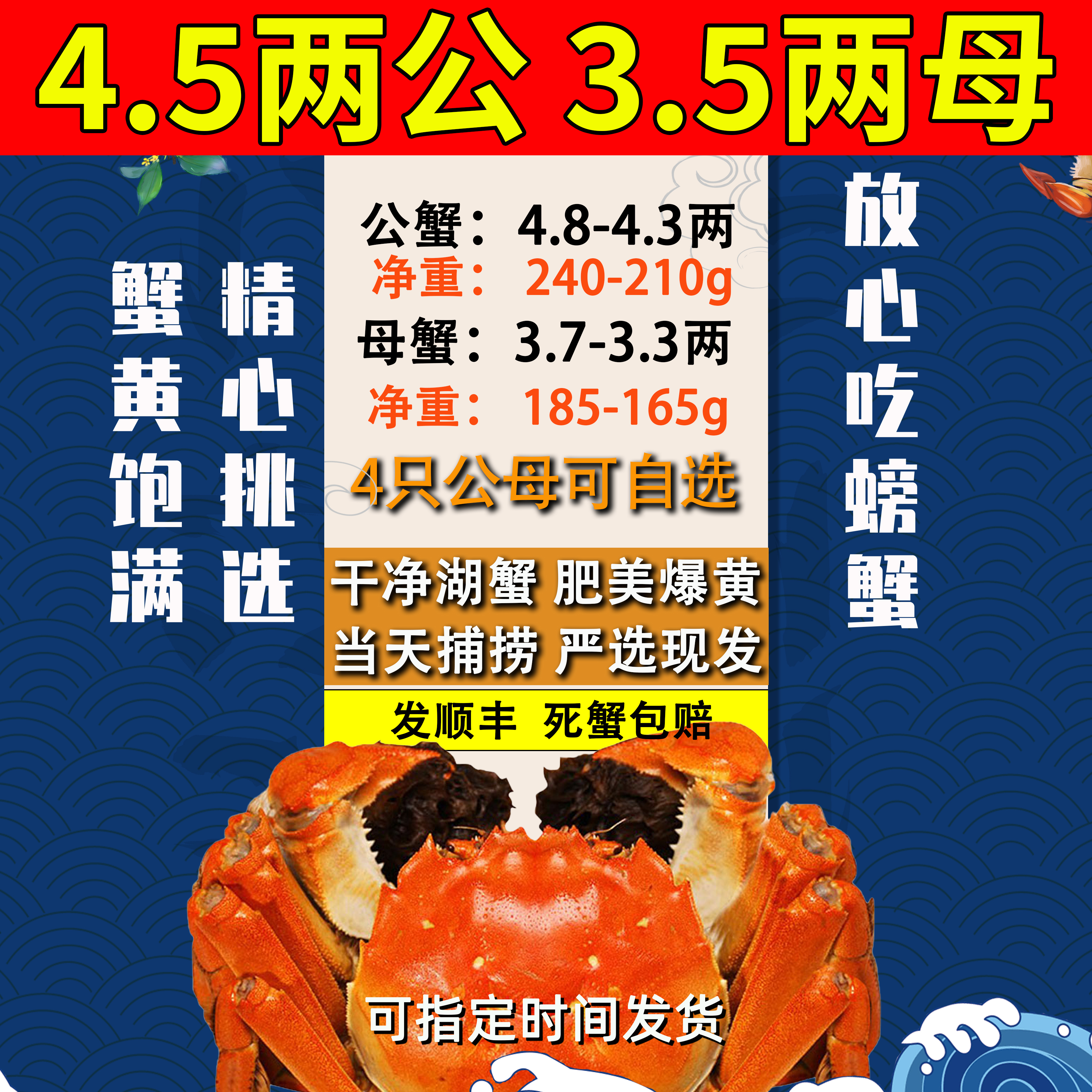 净重大闸蟹固城湖3.5两母蟹4只