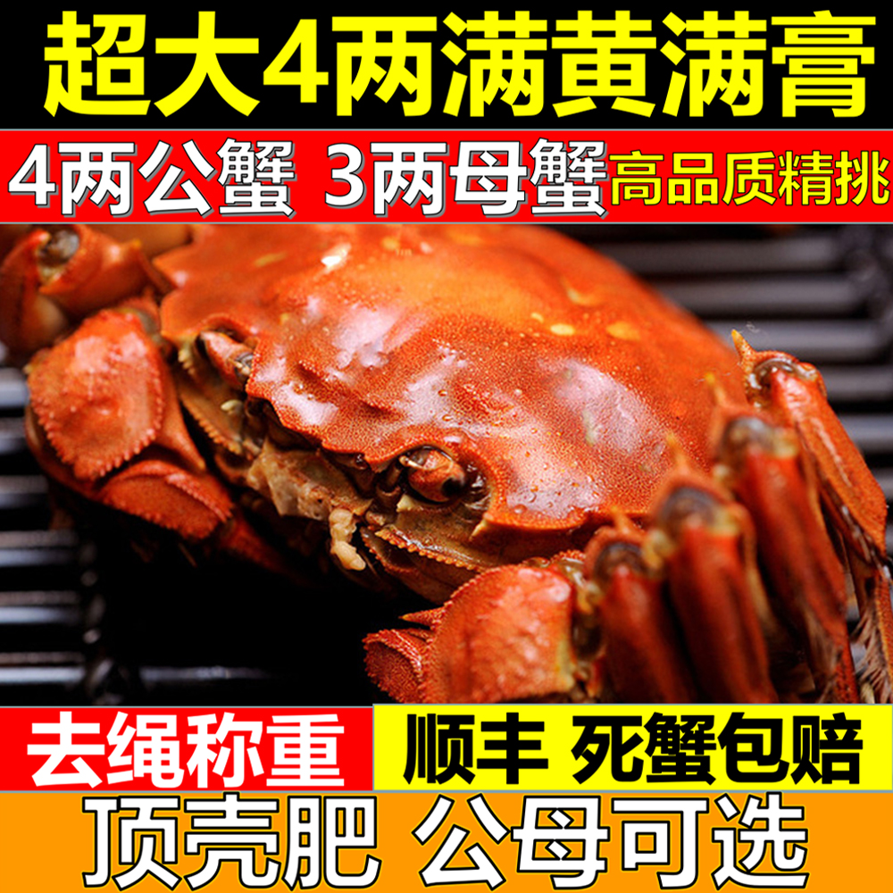 高品质大闸蟹固城湖放心送蟹礼