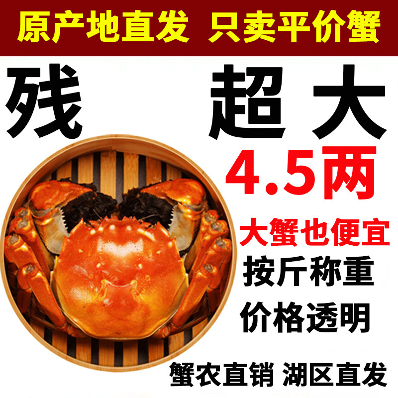残蟹断脚蟹残公残母九公蟹九母蟹固城湖大闸蟹鲜活螃蟹清水湖蟹,水产肉类/新鲜蔬果/熟食,大闸蟹,淘宝优惠券,粉丝福利购,淘宝优惠卷