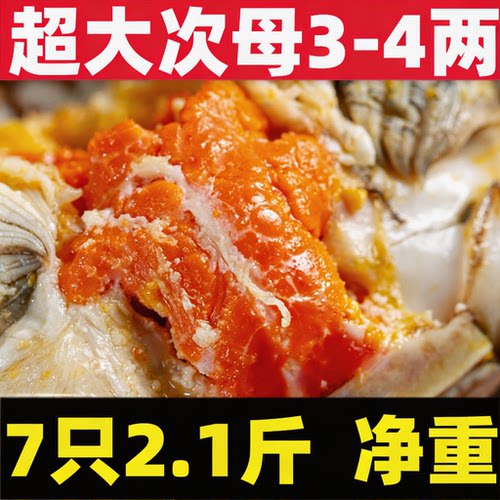 特大残蟹固城湖大闸蟹母蟹公蟹