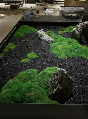 永生苔藓大灰藓白发藓墙仿真永生造景景观花假仿生青苔室内景观