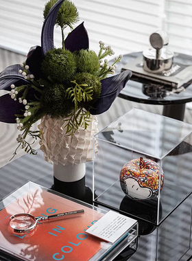 书籍高档创意样板房摆件st侘寂风