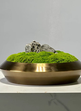 新中式样板房售楼处茶室茶几仿真绿植苔藓盆景组合装饰摆件