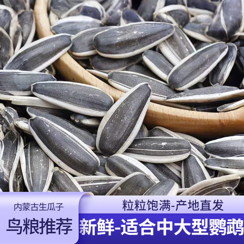 中大型鹦鹉瓜子葵花籽鸟粮鸟食饲料生瓜子适合金刚亚马逊灰鹦鹉